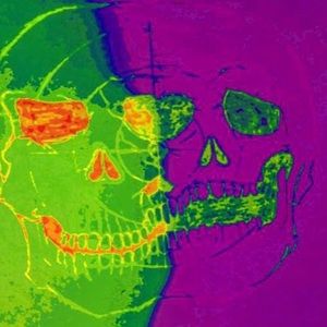 Meet your Posher, Violett